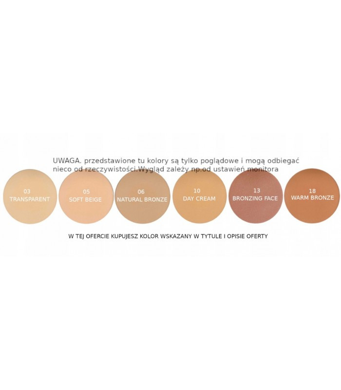 پنکک فیکساتور و مات کننده پیررنه Pierre Rene Professional Compact Powder